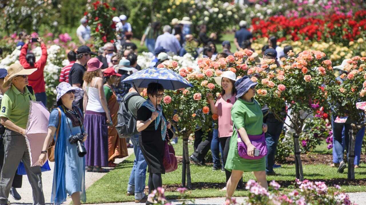 Victoria State Rose Garden