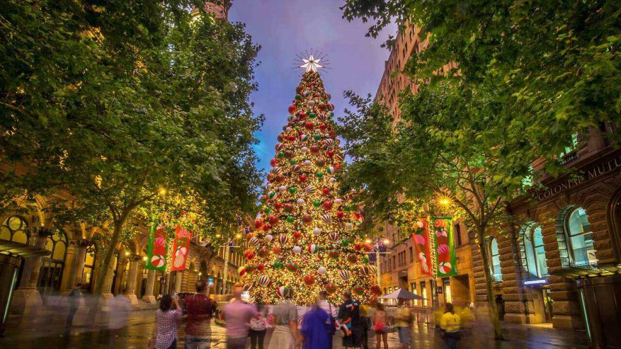 Christmas tree in Martin Place