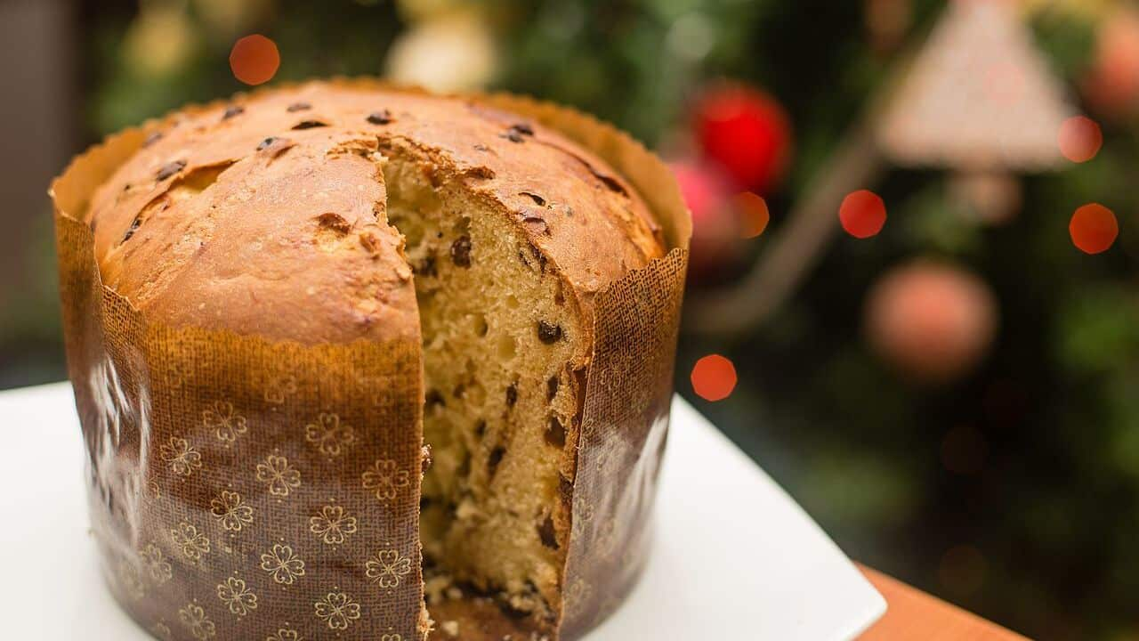 Panettone