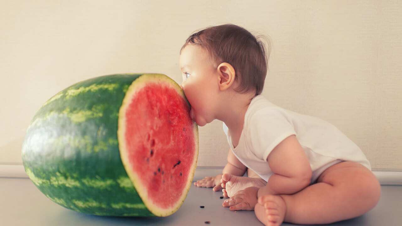 Baby eating large watermelon