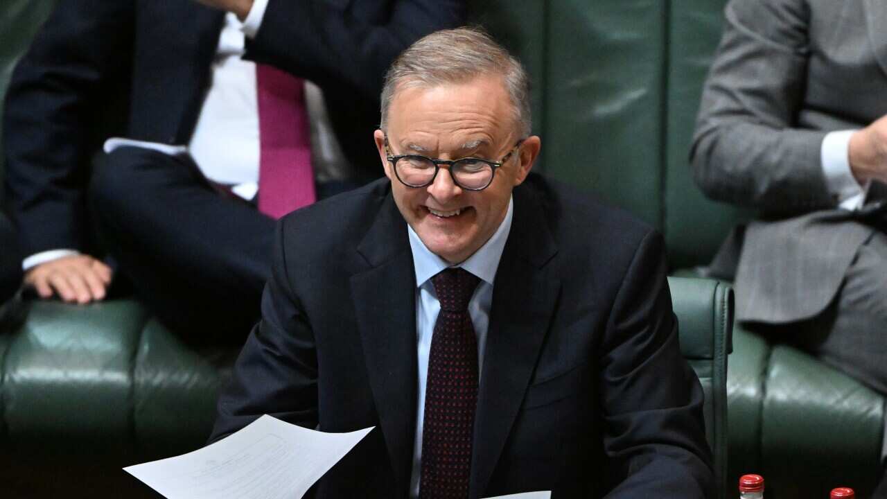 Prime Minister Anthony Albanese sits in parliament. 