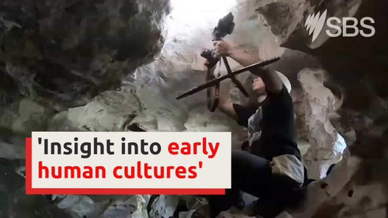 CULTURES 407.jpg