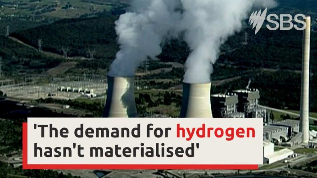 HYDROGEN FUTURE.jpg