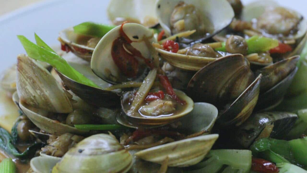 Taiwanese clams