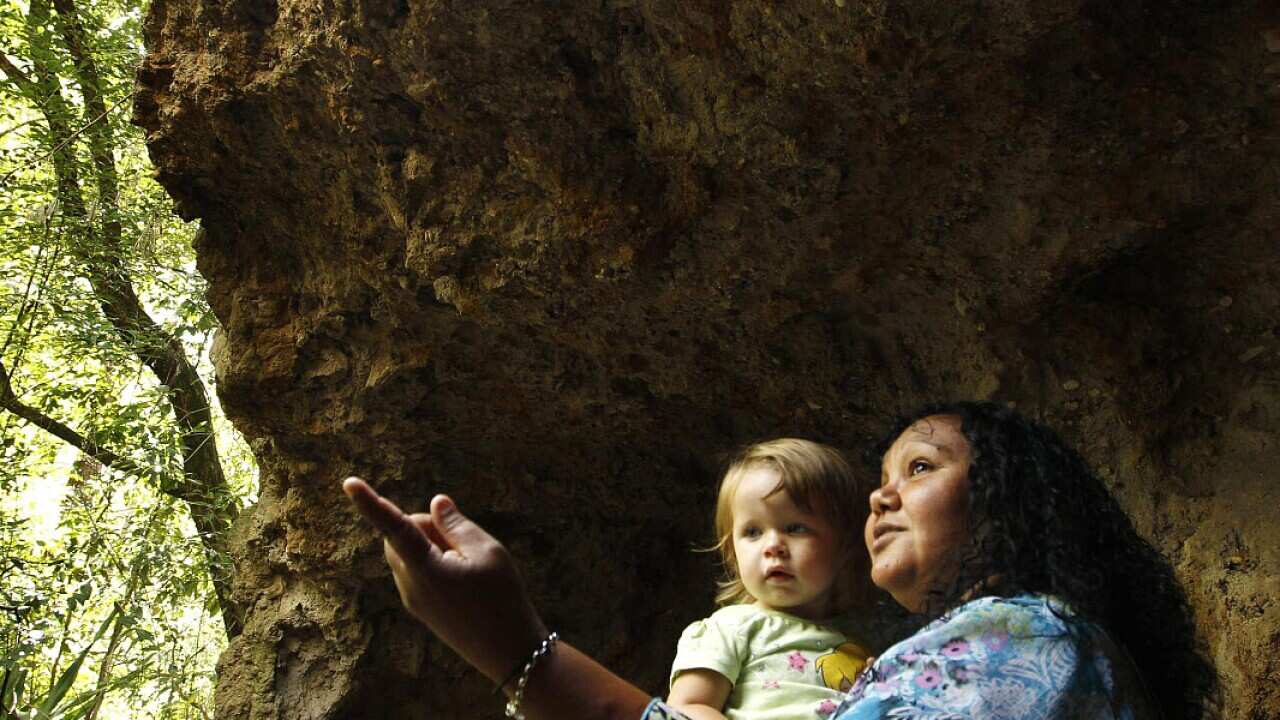 Butterfly Cave