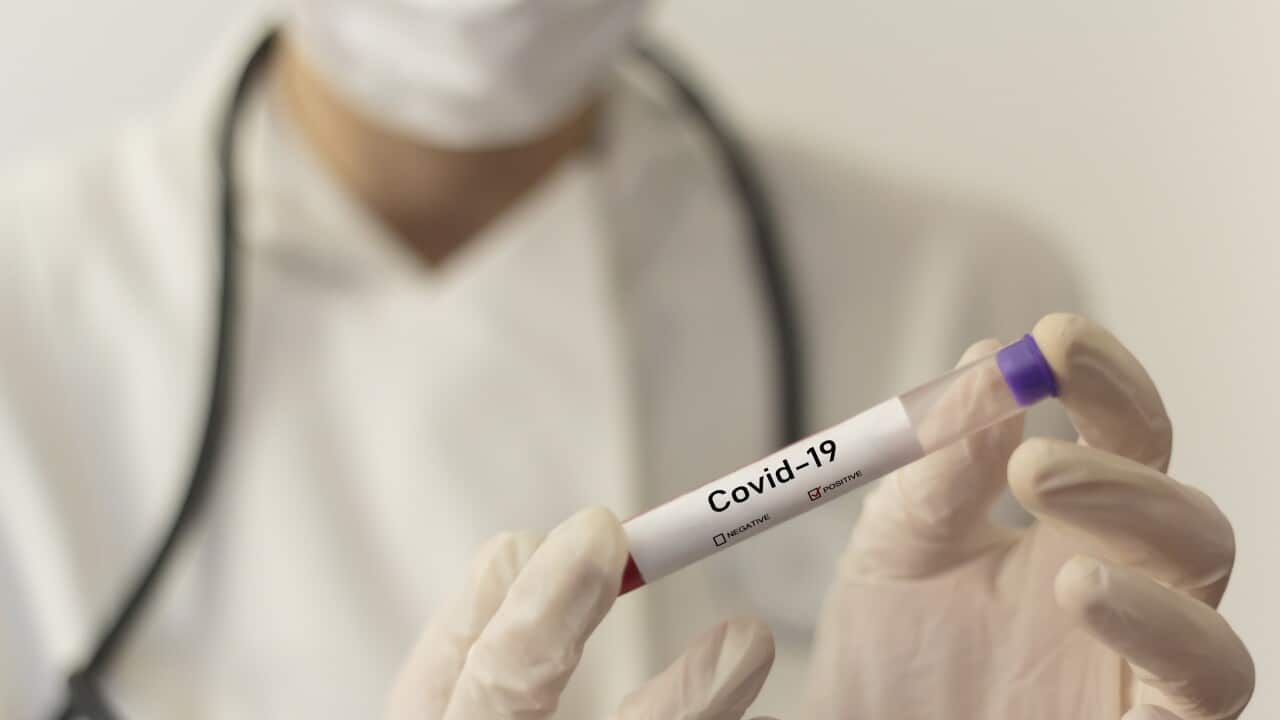 If the majority is expected to recover, why is coronavirus considered dangerous?