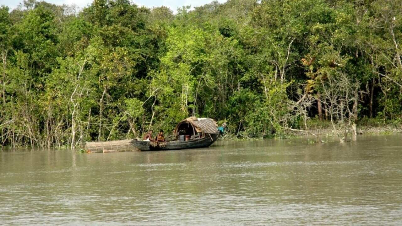 Sundarbans