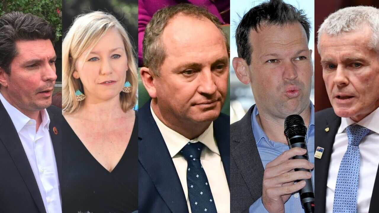 File: Senators Scott Ludlam, Larissa Waters, Barnaby Joyce, Matthew Canavan and Malcolm Roberts 