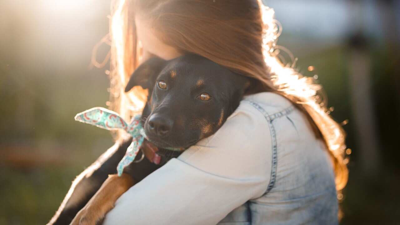 Giving animals a second chance is a rewarding experience.