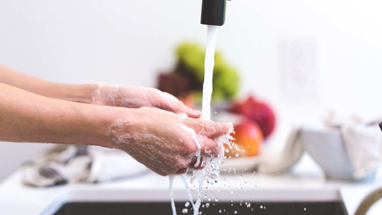 hand hygiene, coronavirus, proper hand washing