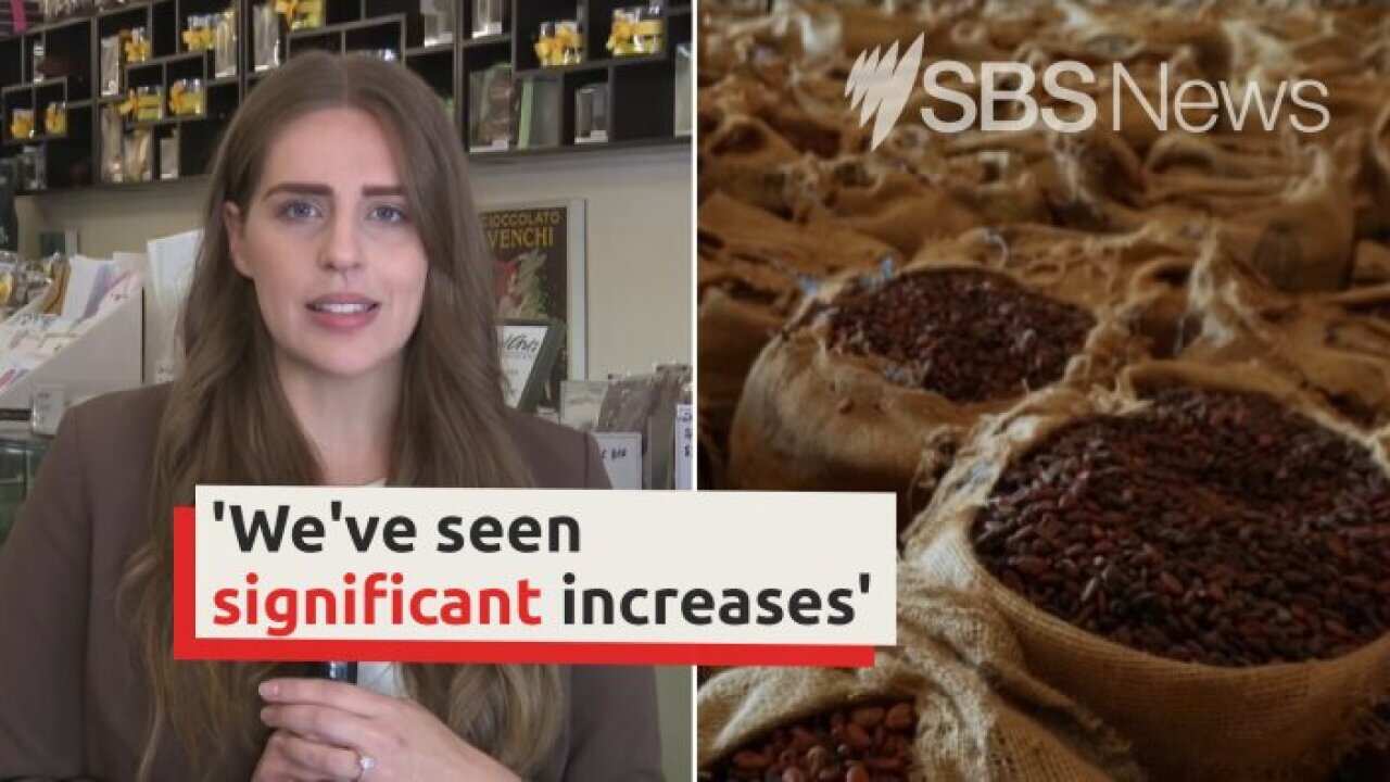 Rhayna Bosch reports on the surge of cocoa prices.