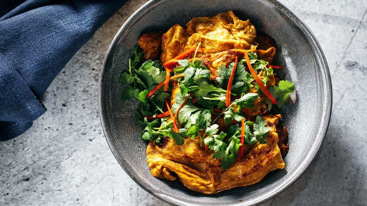 Vegan chicken (bean curd braised in soy) 