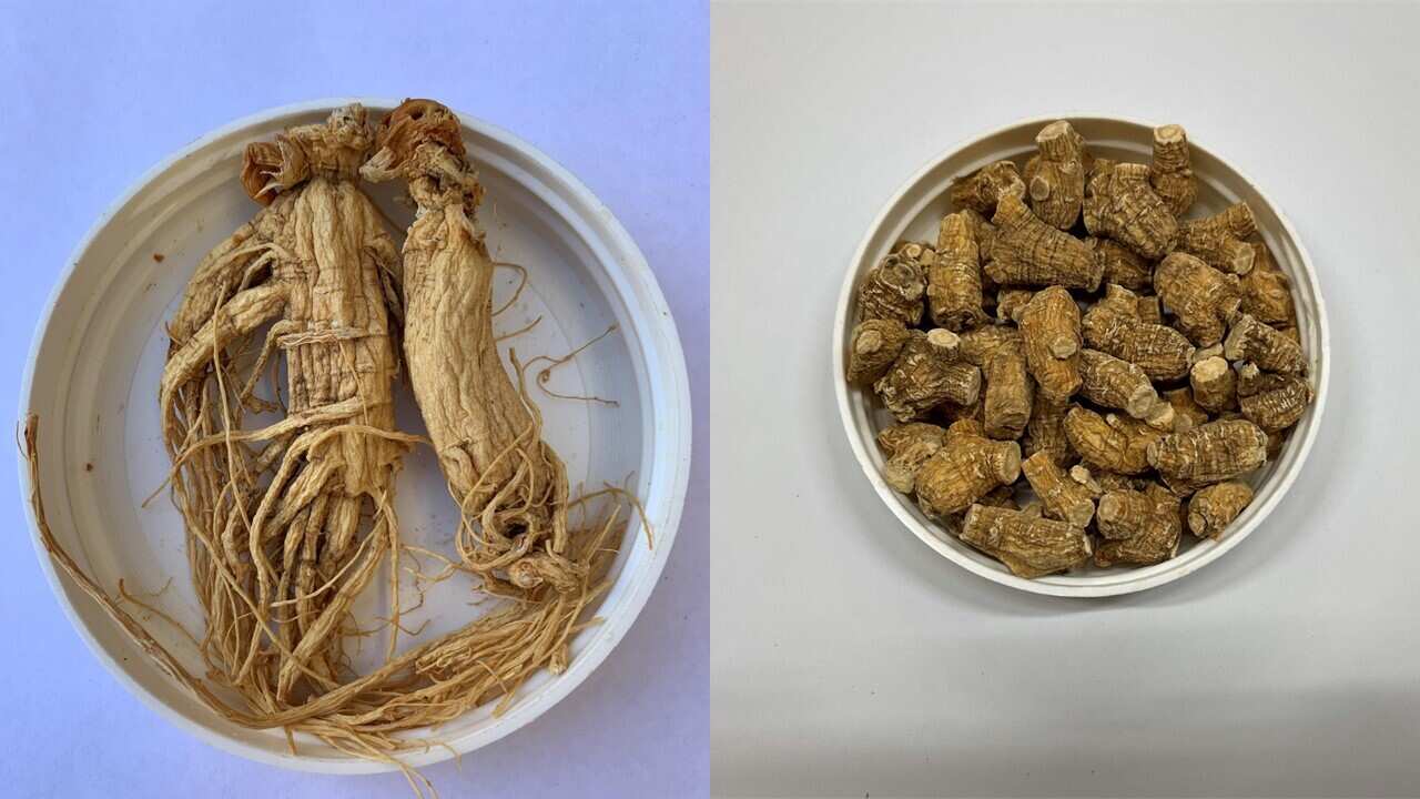 ginseng.jpg