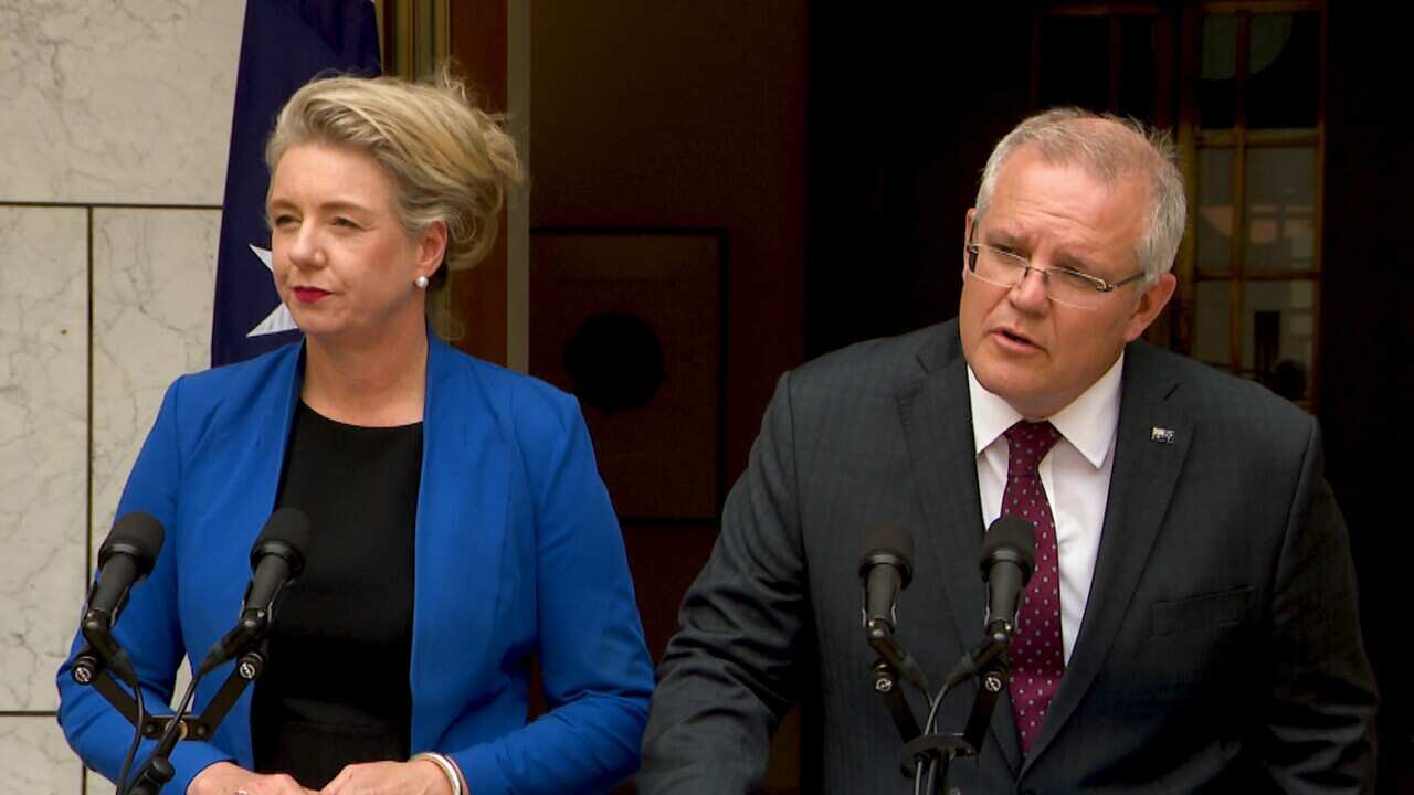 Prime Minister Scott Morrison is and then-Sports Minister Bridget McKenzie.