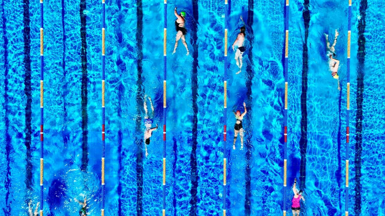 Drone of swimmers doing laps in pool. 