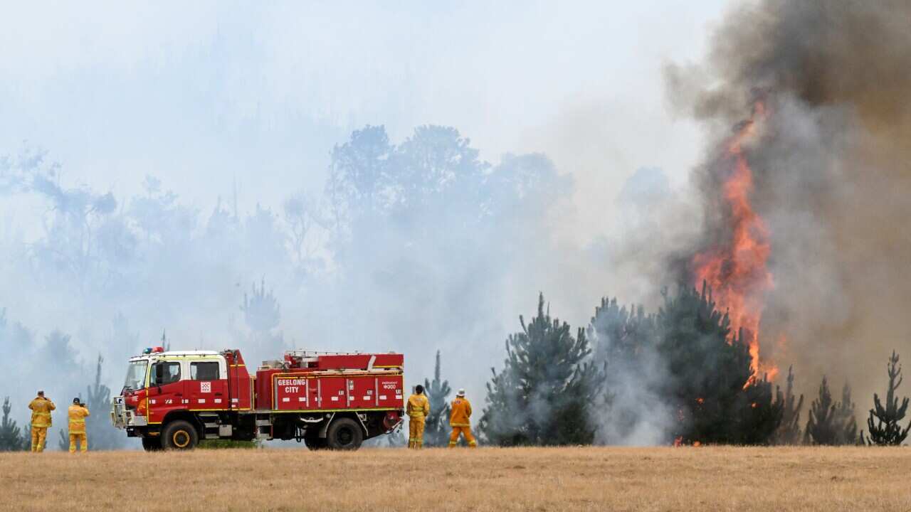 BUSHFIRES VICTORIA