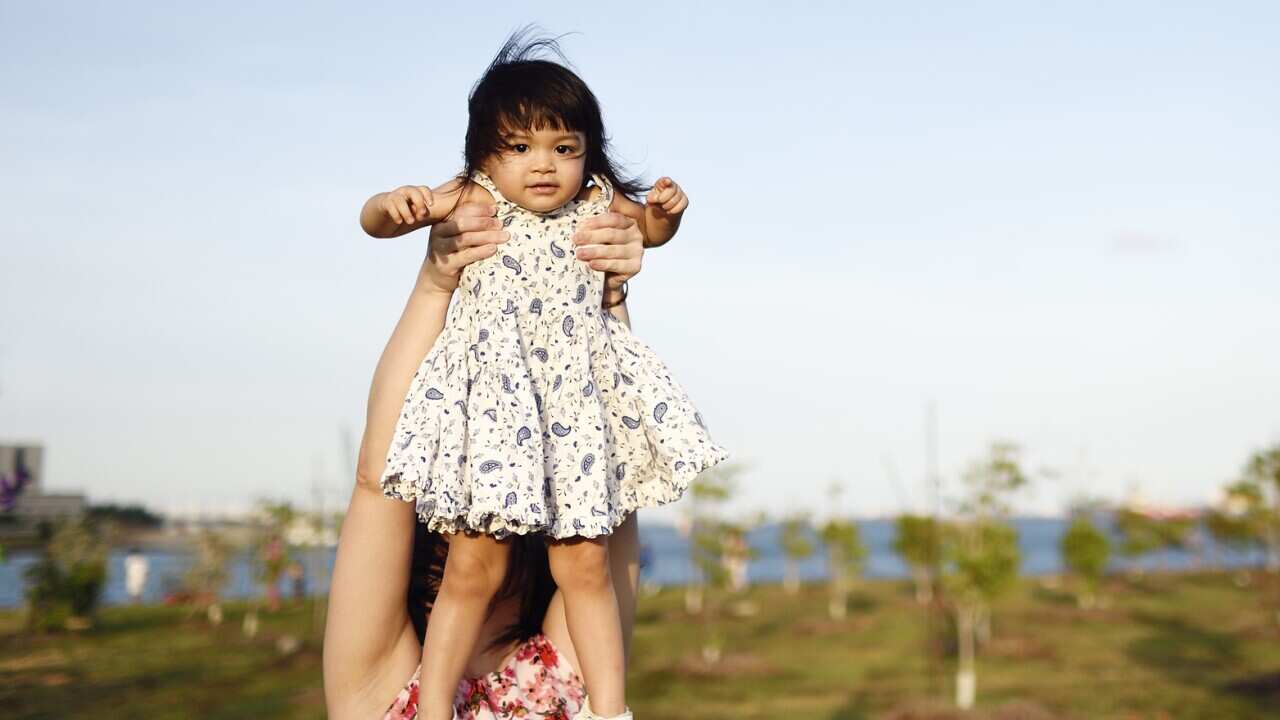 Toddler being lifted in the air in a park