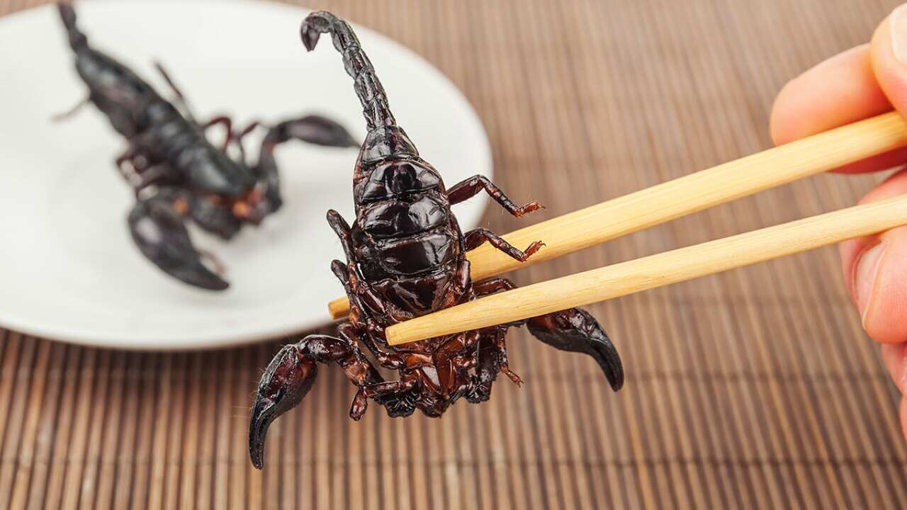 Fried scorpian