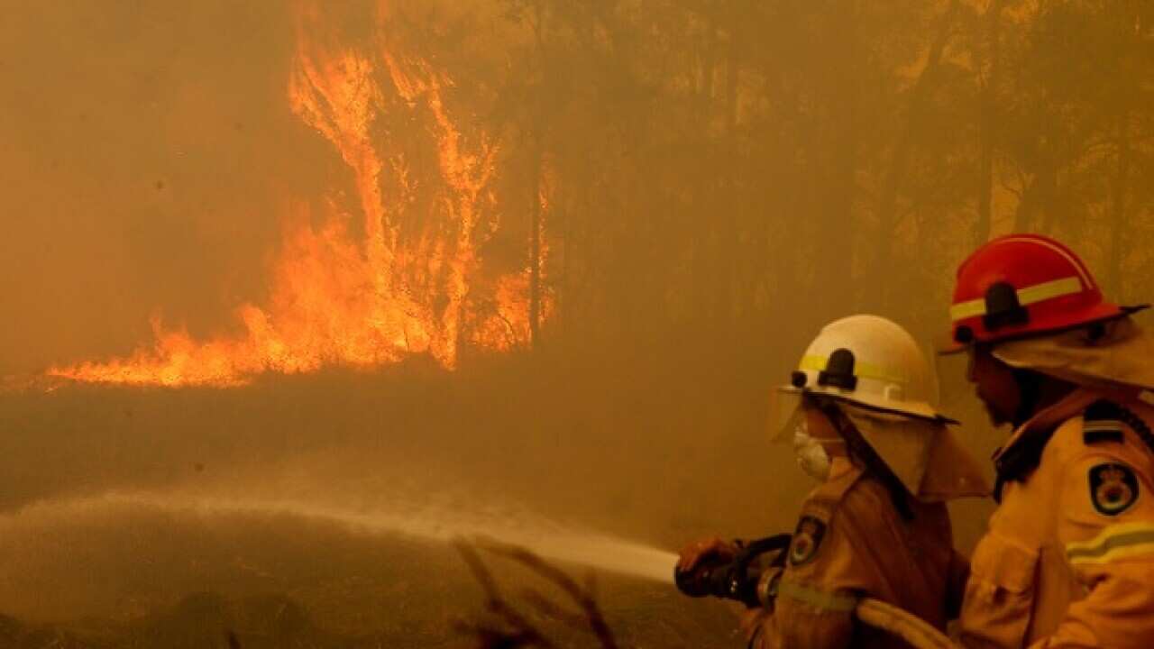 Bushfire NSW