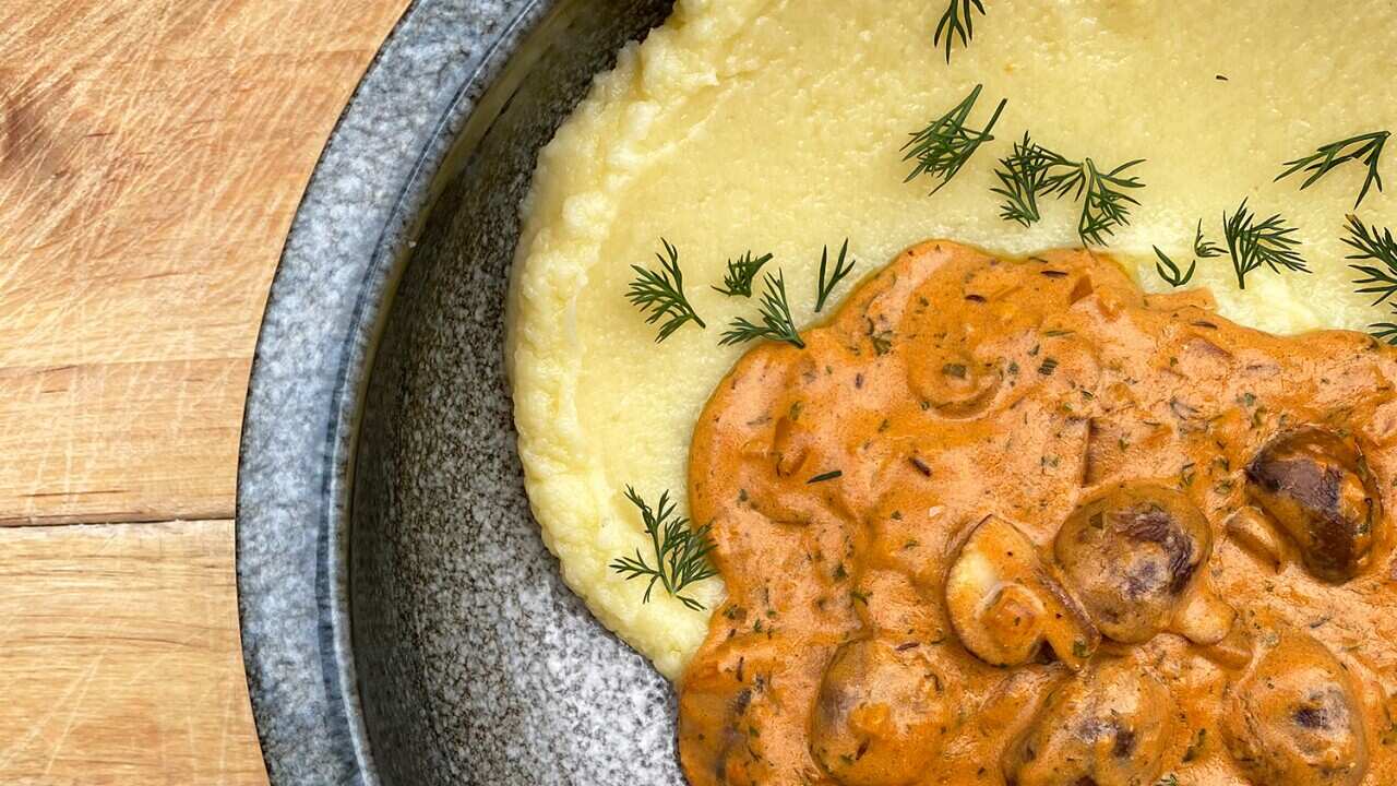 Mushroom stroganoff