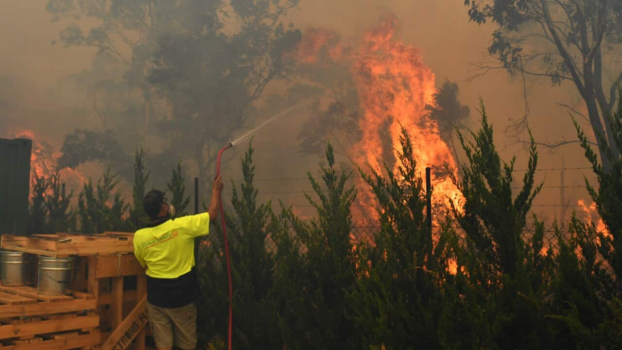 BUSHFIRES ACT