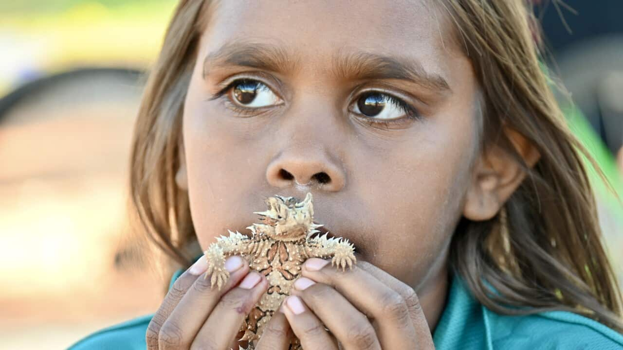 Young leader Kazariah Driffen holds a multi-coloured thorny dragon that she and her friends have found and named 'coffee'