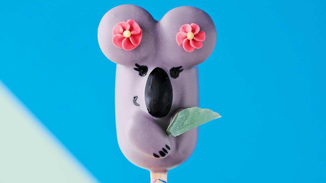 Koala crunch pops