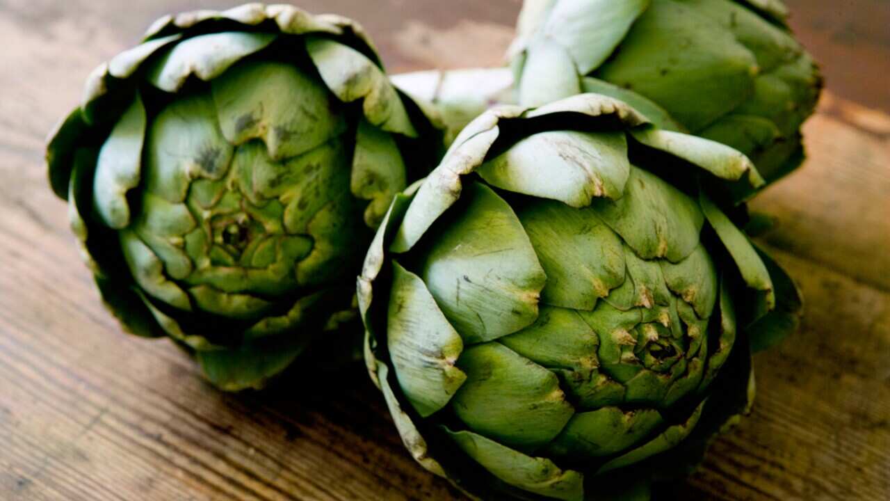 artichoke.jpg