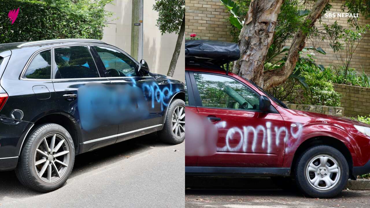 A vandalised car on Wellington Street in Woollahra, Sydney.