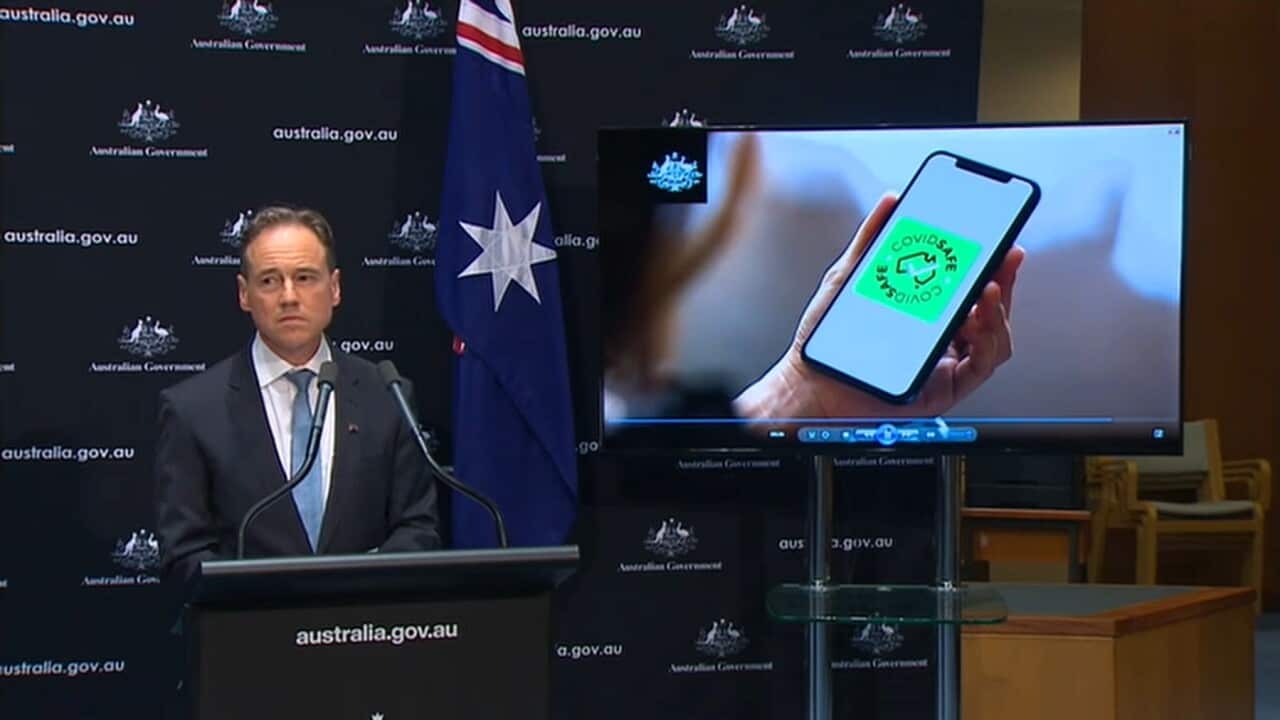 Federal Health Minister Greg Hunt launches the government's coronavirus tracing app.