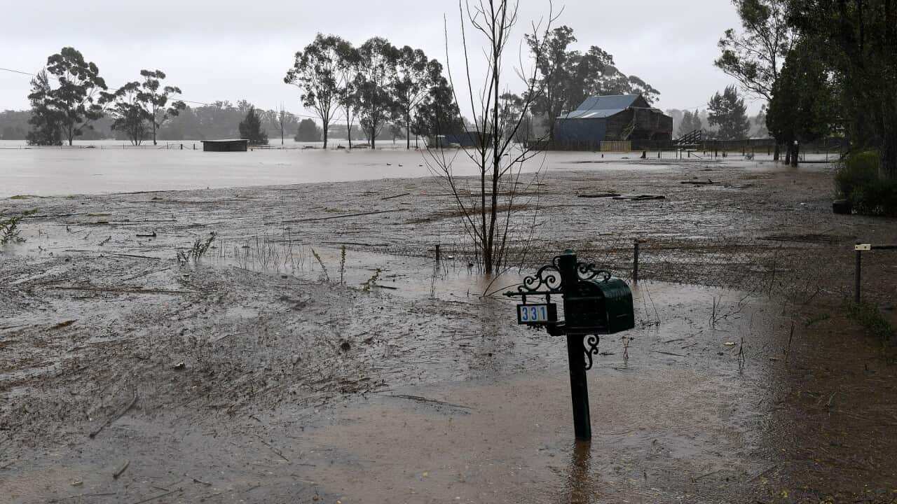 Residential properties and roads are submerged under floodwater from the swollen Hawkesbury River, in Cattai, north west of Sydney on 4 July 2022.