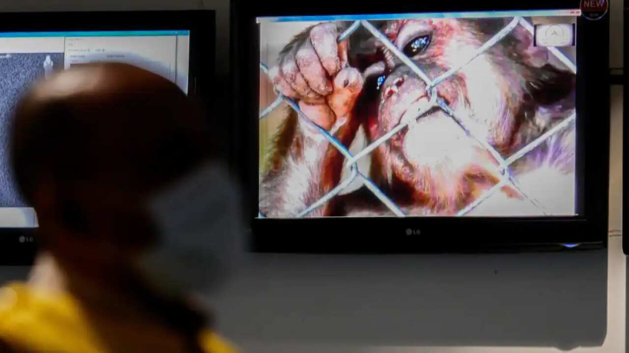 A health officer stands in front of a monkeypox virus information at Soekarno-Hatta International Airport in Tangerang near Jakarta, Indonesia, on 15 May, 2019. 