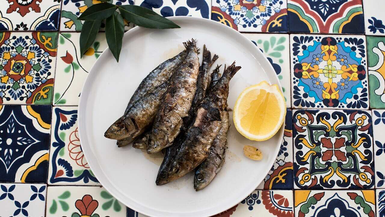 Grilled sardines