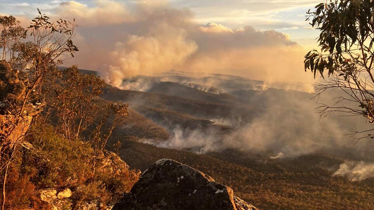 BUSHFIRES VICTORIA
