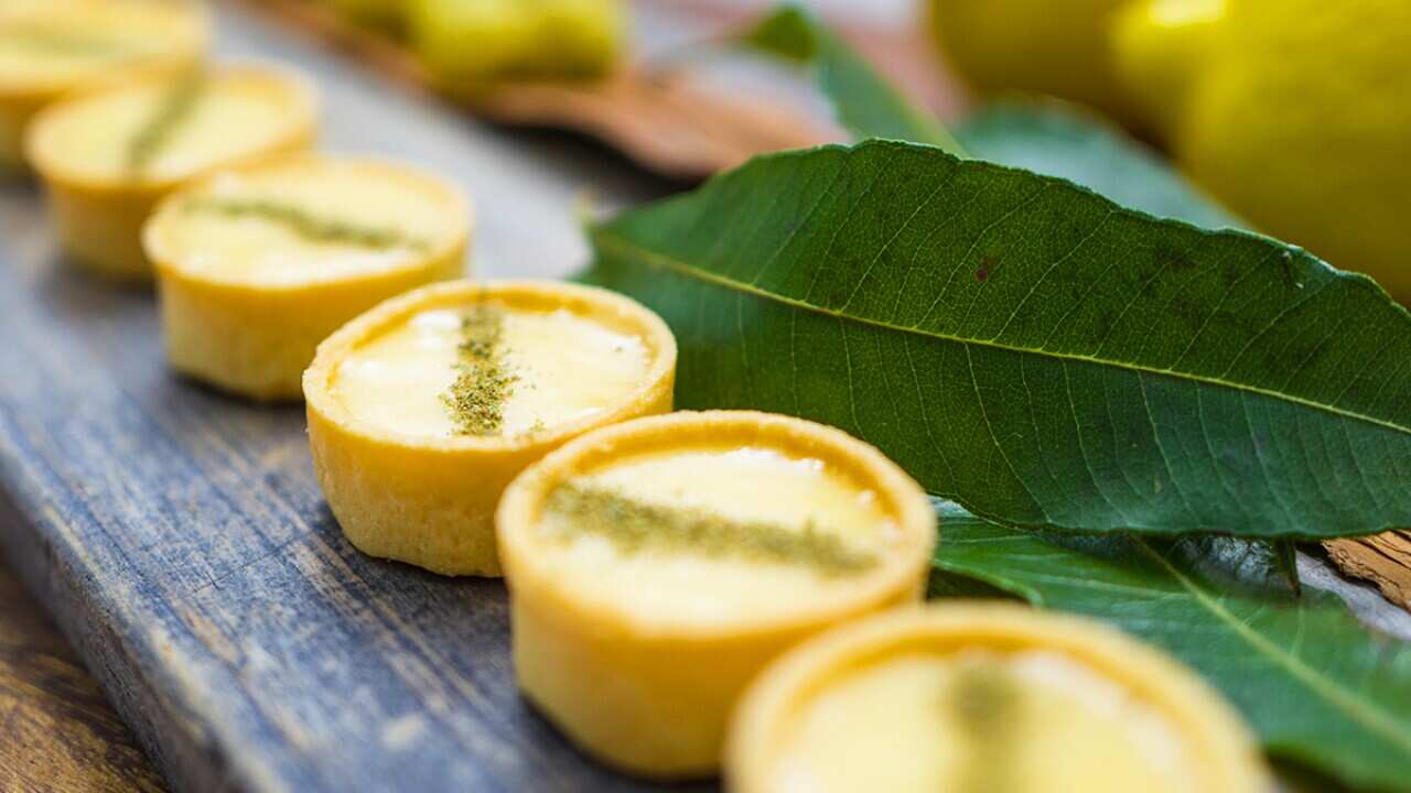 Lemon aspen curd tartlets