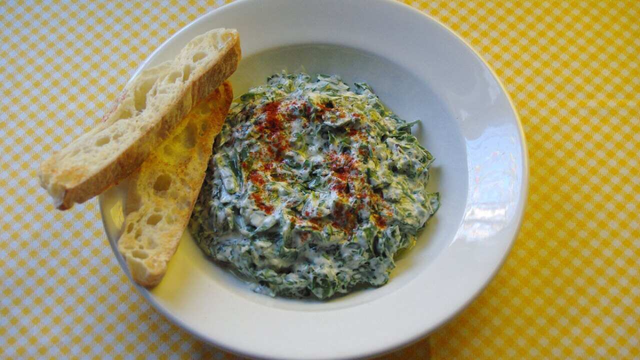 Purslane yoghurt dip