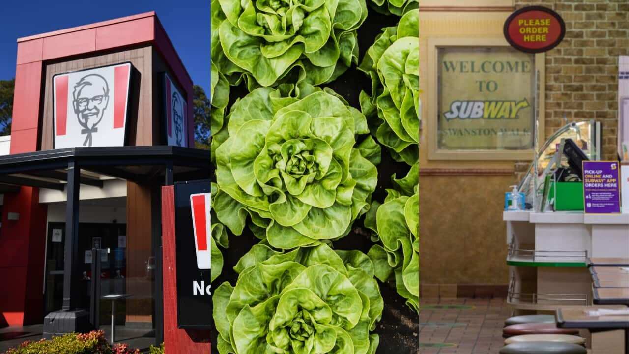 A collage of lettuce and fast-food chains 