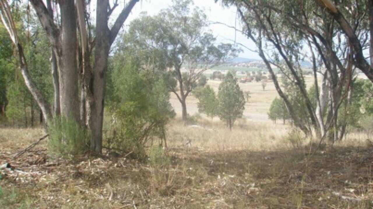 Myall Creek landscape