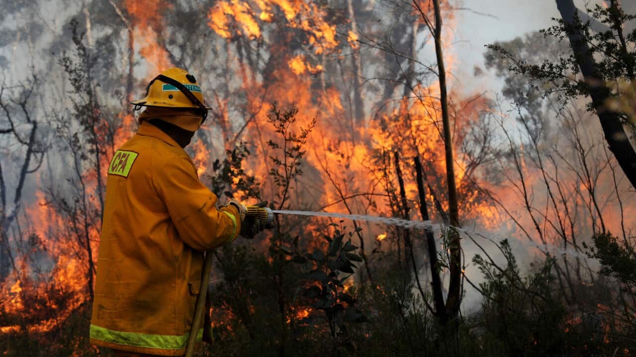 Bushfire crisis across northern hemisphere