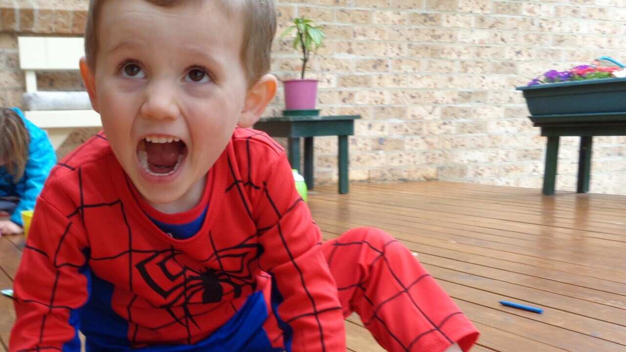 William Tyrrell vanished from a home in Kendall, NSW in 2014.