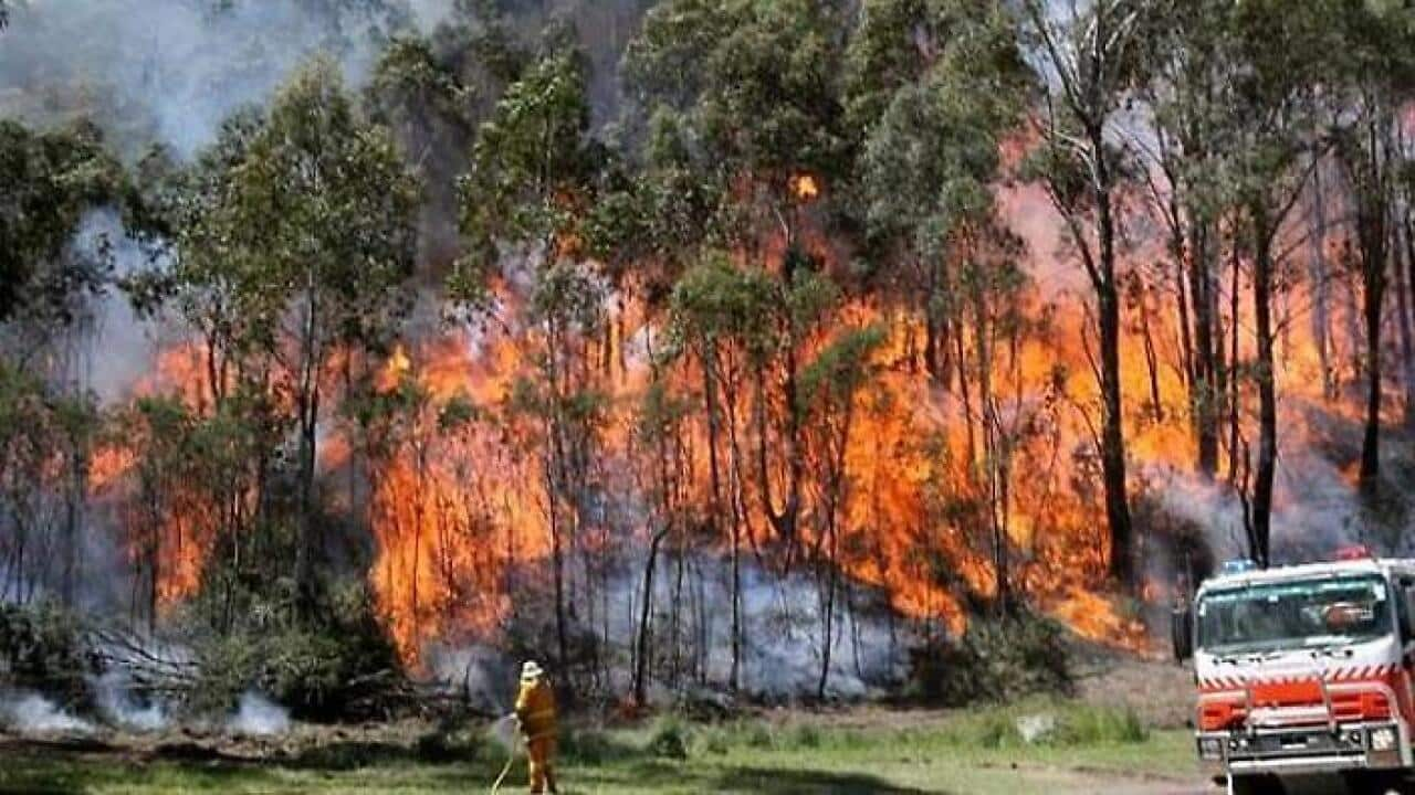 Australian bureau of meteorology