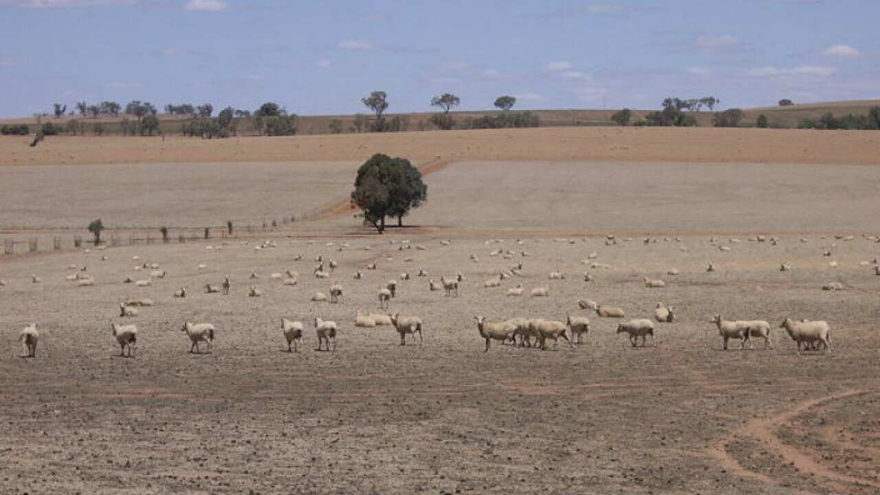 Drought affected areas