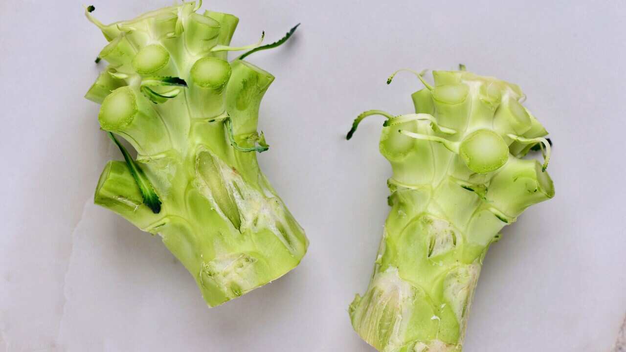 Close-Up Of Broccoli Stalks On White Table