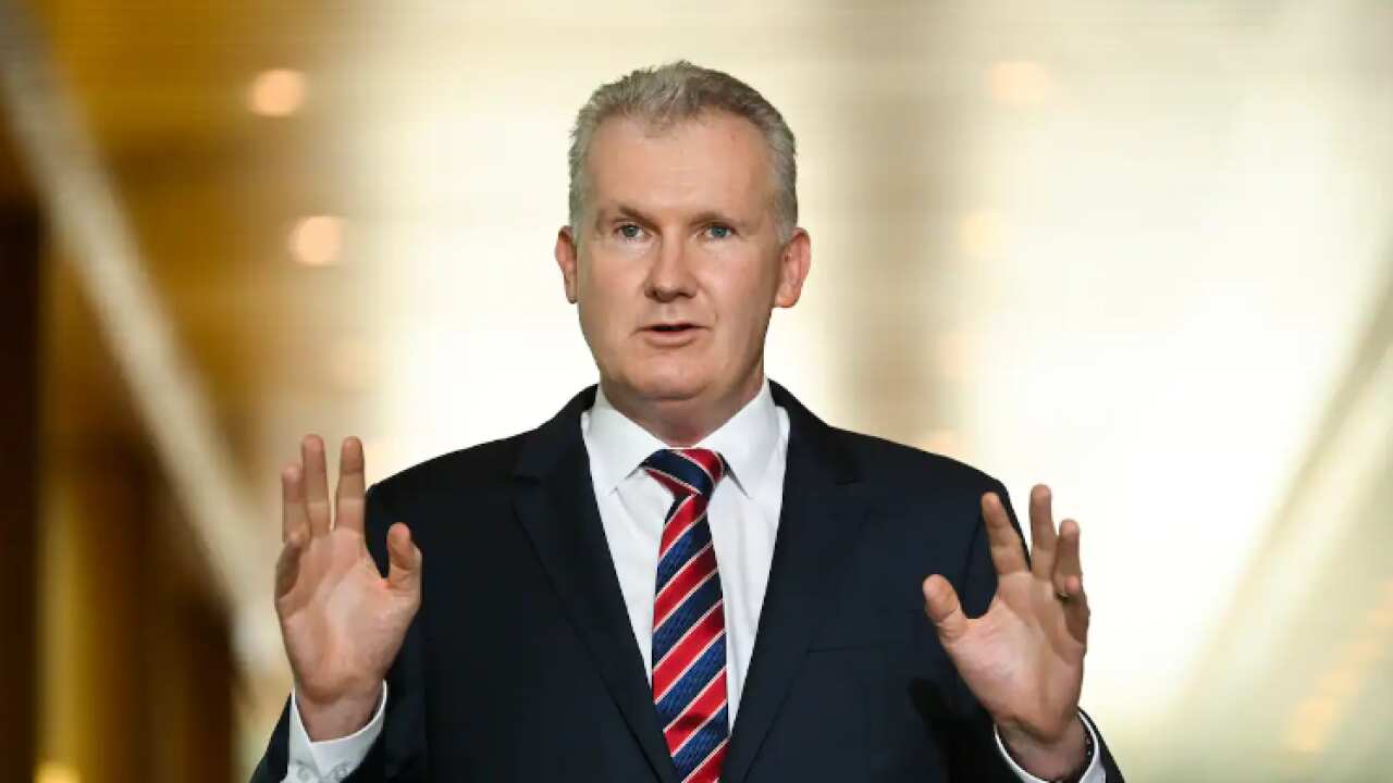 Employment Minister Tony Burke says the government "won't rule anything out" to resolve the country's current gas crisis. 