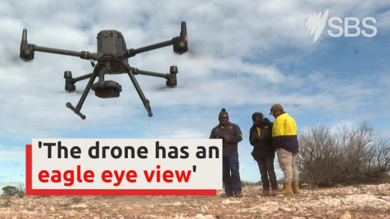 Journalist reports on drone technology helping Indigenous rangers rediscover cultural sites and seal populations 