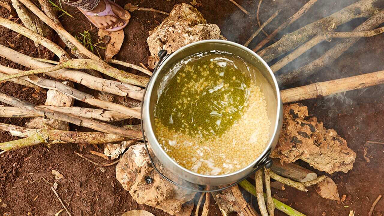 Boiled corn (jagung katema)