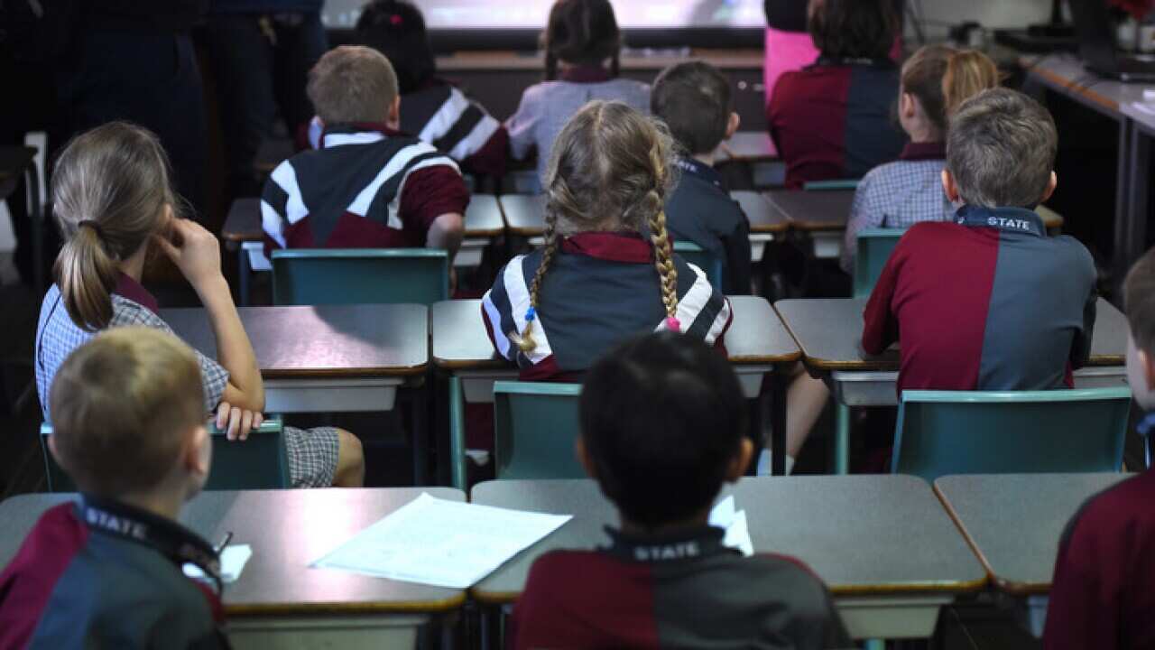 Primary school children in Queensland 