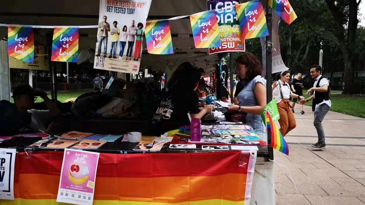 UNSW Rainbow International