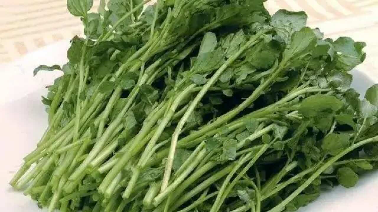 watercress.png