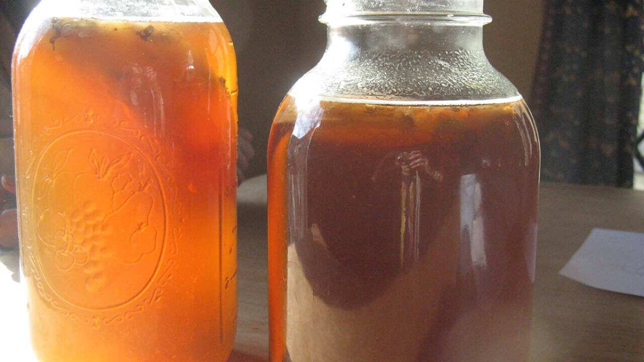 Kombucha